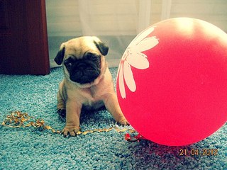 604 X 453 73.1 Kb ����� �����! �� ��������!