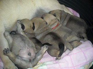 604 X 453 58.1 Kb ����� �����! �� ��������!