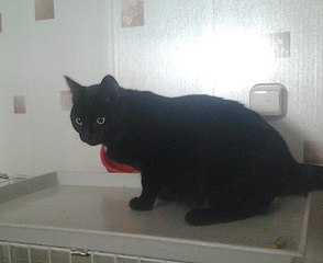 928 X 756 84.7 Kb .    .  ,  