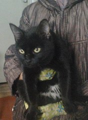 510 X 695 56.5 Kb 928 X 756 84.7 Kb .    .  ,  