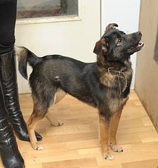 1377 X 1467 250.8 Kb .    .  ,  