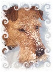 447 X 600 106.7 Kb    !