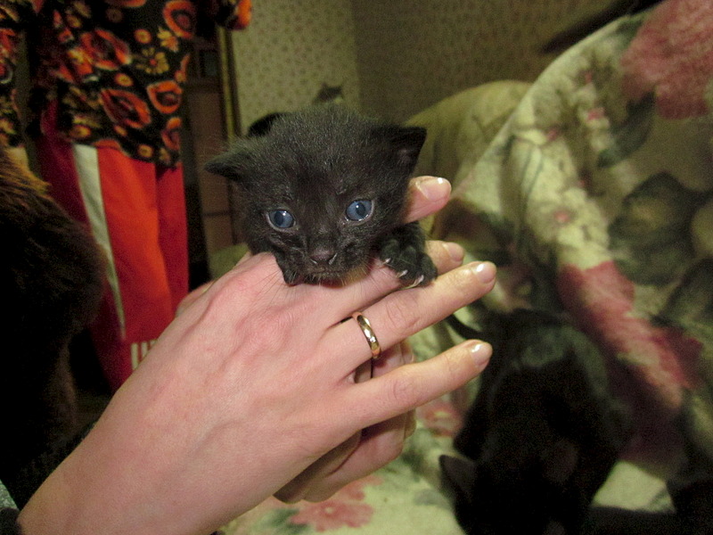 1920 X 1440 650.2 Kb 1920 X 1440 655.0 Kb , ,  !