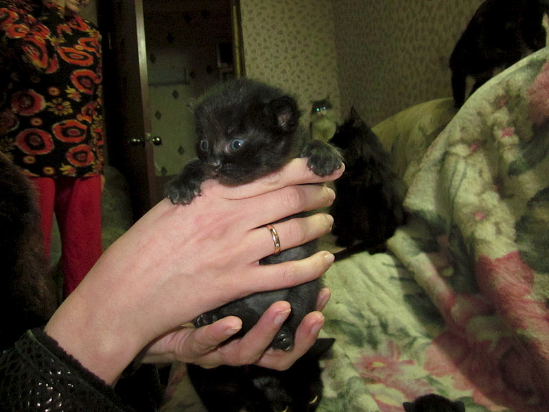 1920 X 1440 624.7 Kb 1920 X 1440 650.2 Kb 1920 X 1440 655.0 Kb , ,  !