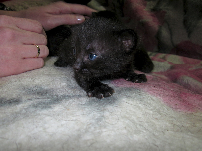 1920 X 1440 537.4 Kb , ,  !