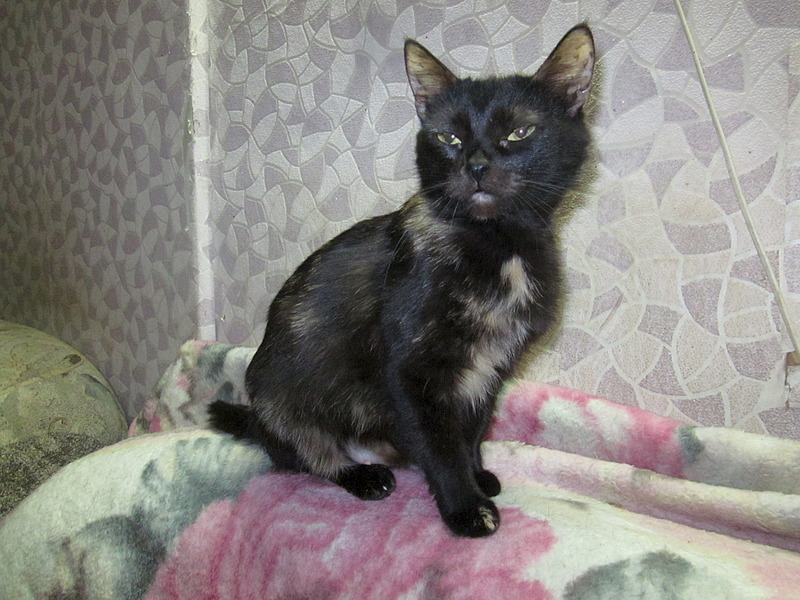 1920 X 1440 675.3 Kb , ,  !