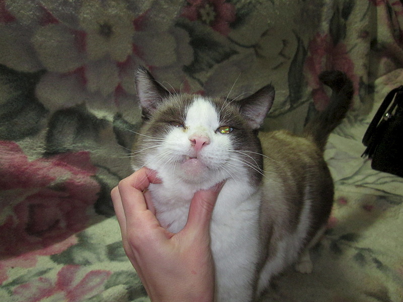 1920 X 1440 561.0 Kb , ,  !