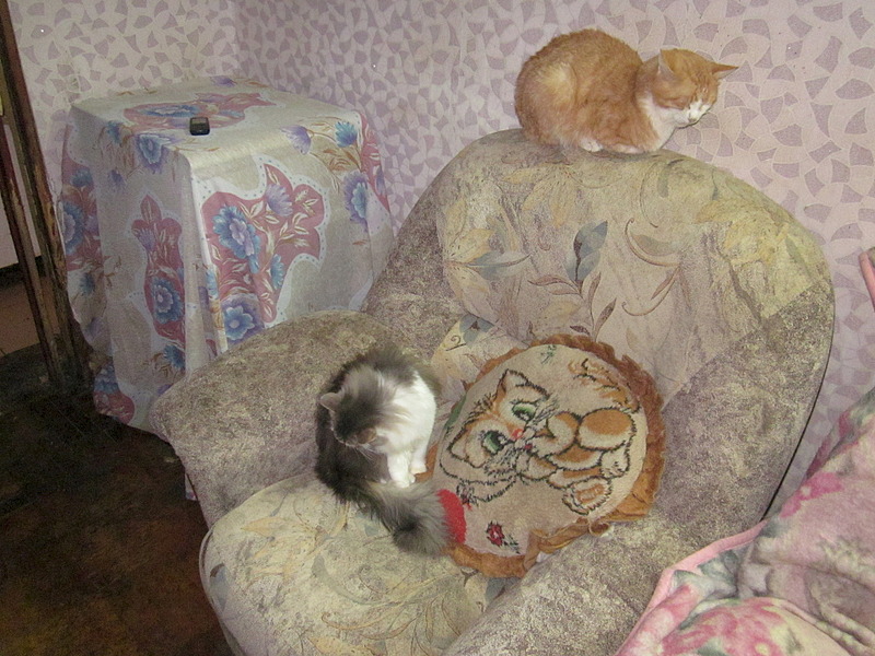 1920 X 1440 770.9 Kb 1920 X 1440 603.4 Kb , ,  !