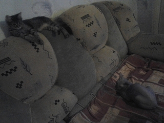 1920 X 1440 120.3 Kb -  