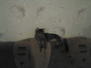 1920 X 1440 119.8 Kb 1920 X 1440 120.3 Kb -  