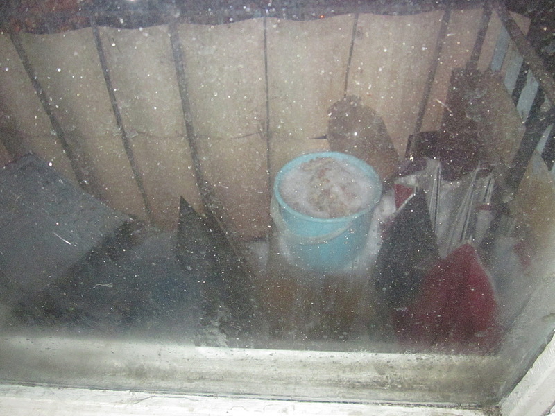 1920 X 1440 690.0 Kb Кошки, коты, нужна помощь!