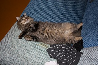 1280 X 853 273.8 Kb       .