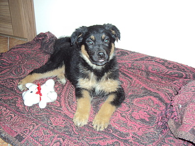 1920 X 1440 808.4 Kb .   .