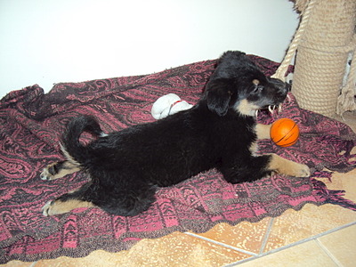 1920 X 1440 729.3 Kb .   .