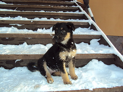 1920 X 1440 642.4 Kb .   .