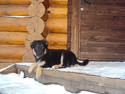 1920 X 1440 256.0 Kb .   .