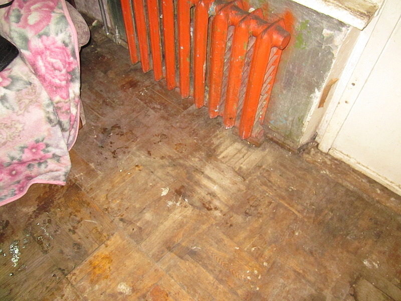 1920 X 1440 650.2 Kb Кошки, коты нужна помощь!