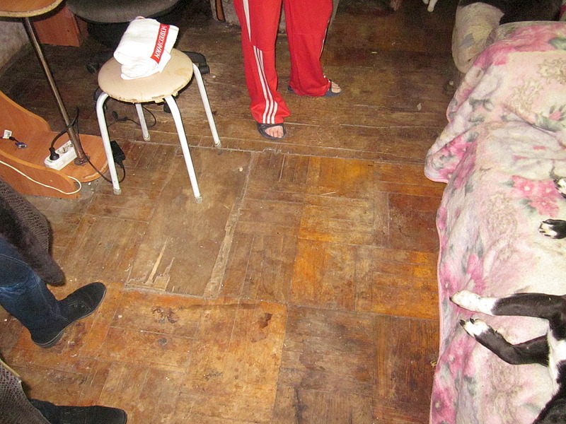 1920 X 1440 802.3 Kb Кошки, коты нужна помощь!