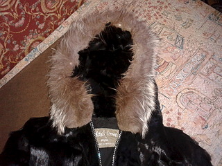 1920 X 1440 721.0 Kb  , , 