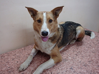 1920 X 1440 193.1 Kb    ...   )