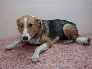 1920 X 1440 996.8 Kb 1920 X 1440 193.1 Kb    ...   )