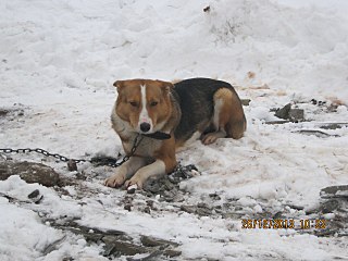 1280 X 960 188.3 Kb 1920 X 1440 996.8 Kb 1920 X 1440 193.1 Kb    ...   )