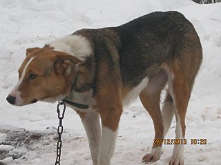 1280 X 960 164.2 Kb 1280 X 960 188.3 Kb 1920 X 1440 996.8 Kb 1920 X 1440 193.1 Kb    ...   )