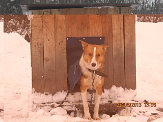 1280 X 960 171.3 Kb 1280 X 960 164.2 Kb 1280 X 960 188.3 Kb 1920 X 1440 996.8 Kb 1920 X 1440 193.1 Kb    ...   )