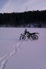1728 X 2592 583.3 Kb зимние дорожки ... или кто как катает .