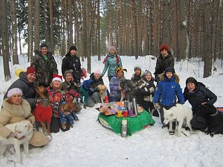 604 X 453  83.1 Kb Собаки поисково-спасательной службы Удмуртии