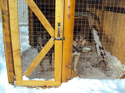 1920 X 1440 830.7 Kb .   .