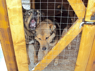 1920 X 1440 1007.3 Kb .   .