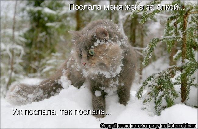 650 x 426 615 x 461 363 x 500 Улыбнемся?