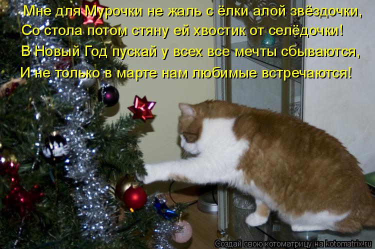 750 x 498 450 x 600 Улыбнемся?