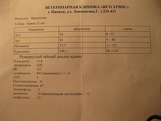 1920 X 1440 617.7 Kb      .  ,    .