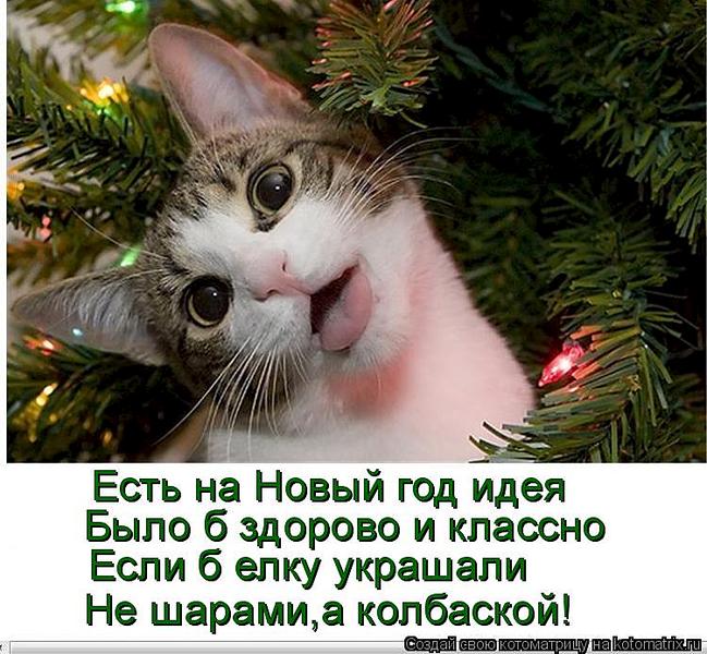 750 X 693 93.0 Kb 562 X 750 76.3 Kb 750 x 498 450 x 600 Улыбнемся?