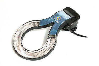 500 X 333 20.3 Kb ������ ��������� ������������ ��� �������