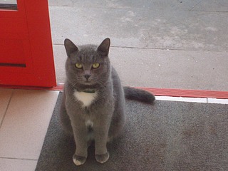 1920 X 1440 576.5 Kb C-   .