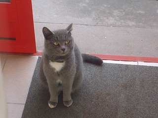 1920 X 1440 581.8 Kb 1920 X 1440 576.5 Kb C-   .