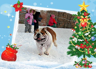 500 X 358 79.0 Kb    !