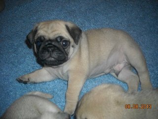 604 X 453  46.3 Kb ����� �����! �� ��������!