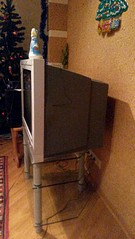 1836 X 3264 428.6 Kb 1836 X 3264 472.0 Kb   Thomson 29DZ425MV 72 +   (/)