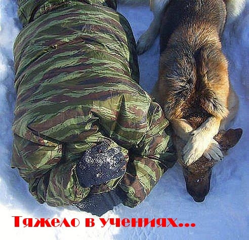 492 x 475 531 x 480 Улыбнемся?
