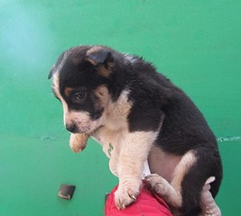 850 X 763 109.8 Kb 1207 X 999 199.0 Kb   