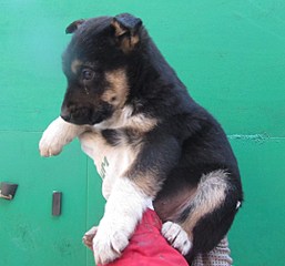 1080 X 1007 170.9 Kb 1105 X 999 167.9 Kb   