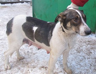 1111 X 857 212.1 Kb 506 X 550 108.5 Kb   