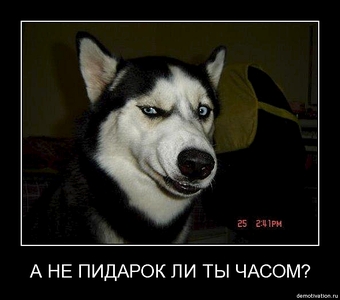 592 X 522 74.2 Kb ижалкобайкеры) место для апщения!