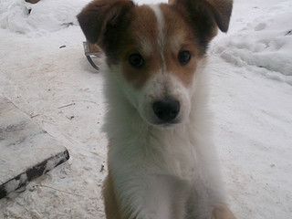 1024 X 768 117.0 Kb 1024 X 768 115.8 Kb 1024 X 768 106.5 Kb   