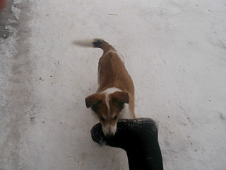 1024 X 768 95.4 Kb 1024 X 768 117.0 Kb 1024 X 768 115.8 Kb 1024 X 768 106.5 Kb   