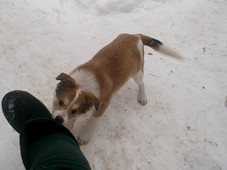 1024 X 768 111.3 Kb 1024 X 768 95.4 Kb 1024 X 768 117.0 Kb 1024 X 768 115.8 Kb 1024 X 768 106.5 Kb   